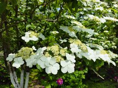 -南山风景名胜区