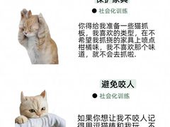 -申普宠物医院·心脏介入·心血管微创(总院)