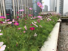 -瓦库茶馆17号(海汇港店)