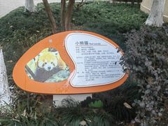 -杭州少年儿童公园