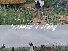 -南汇嘴观海公园