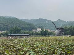-红山村