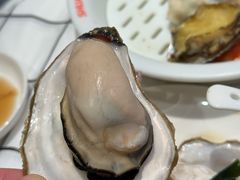 -双合园·海鲜水饺青岛菜(万佳广场店)