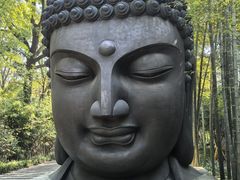 -杭州植物园