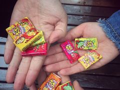 -帽儿山国家森林公园