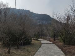 -佛慧山