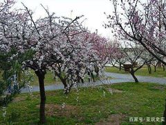 -北京上方山国家森林公园
