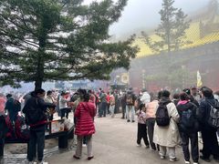 -普陀山风景区-佛顶山