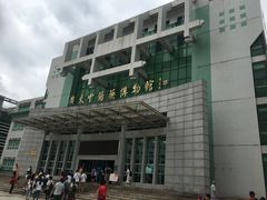 -广东中医药博物馆