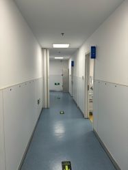 -温州伯思立医院
