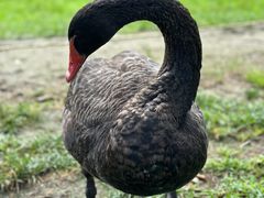 -朝阳公园