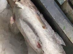 -胶东海鲜大排档(北太平庄店)