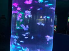 -苏州海洋馆