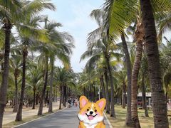 -三亚西岛海洋文化旅游区