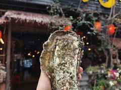 -土蚝·高压锅生蚝(百姓美食街店)