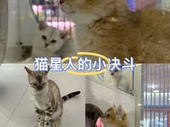 -凯德MALL(望京店)