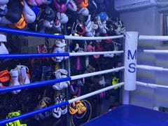 -M.S拳击泰拳馆(大学路店)