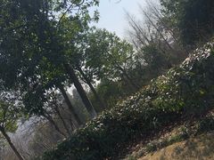 -杭州城北体育公园