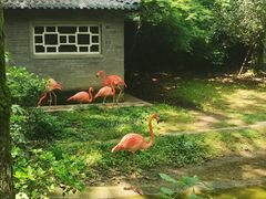 -杭州动物园