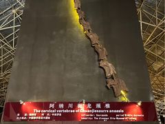 -世界恐龙谷景区