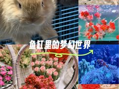 -杭州西湖银泰百货