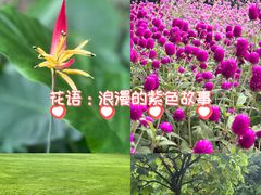 -南宁南湖公园