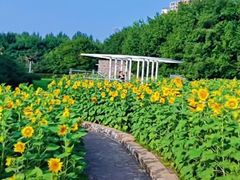 -长春公园(普阳街道)