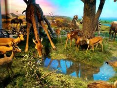 -国家自然博物馆