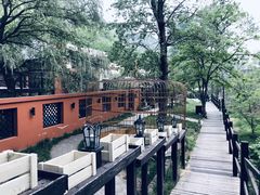 -Local泰莲庭(虹鳟鱼店)