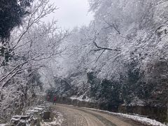 -紫金山山顶公园