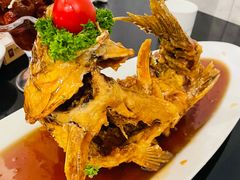 糖醋黄金鲤鱼-城南往事·鲁菜济南菜(龙奥万科店)