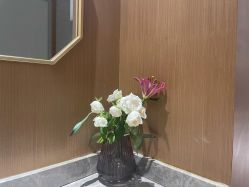 -苑苑vbeauty科技美容SPA