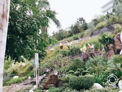 -100蛋泥浆浴