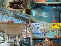 -海澄轩海鲜酒家(虎门店)