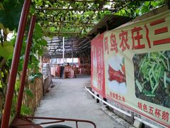 -阿鸟农庄(石壁店)