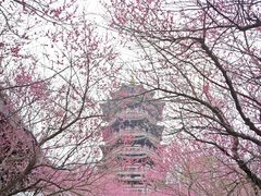 -洋湖国家湿地公园