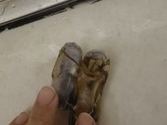 -大润发(春阳店)