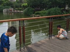-新湖明珠城