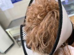 -申普宠物医院·眼科·心内科·影像科(普陀分院)