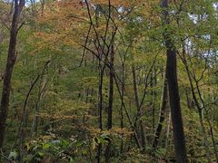 -丹东天桥沟景区