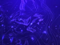 -星宿秘码(鼓浪屿老店)