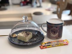 -飞行喵MR PILOT|猫舍·猫咖(静安大融城店)