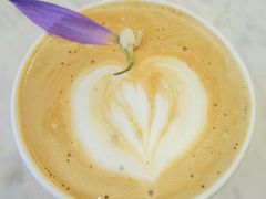 -red donkey coffee