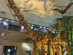 -甘肃地质博物馆