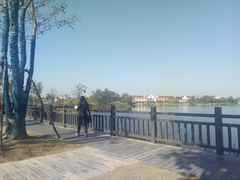 -上海长兴岛郊野公园