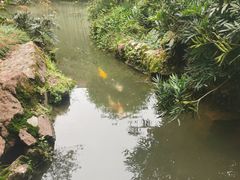 -中国茶叶博物馆(双峰馆区)