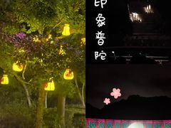 -印象普陀
