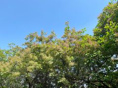 -北京西山国家森林公园