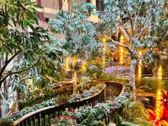 -正佳雨林生态植物园
