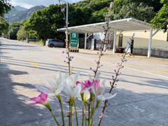-那琴半岛地质海洋公园